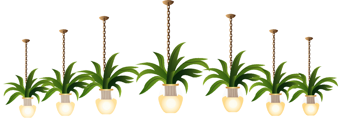 lights